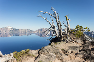 Crater lake in Oregon, USA