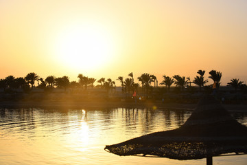 Naklejka na ściany i meble Parasol on natural background of sunset coast with palm trees