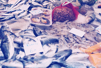 various raw fresh fish on  market counter