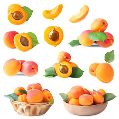 Set of delicious apricots on white background