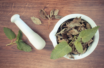 Vintage photo, Green and dried lemon balm with mortar, herbalism or alternative medicine concept