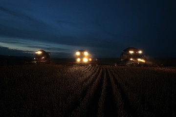 Colheita de soja noturna