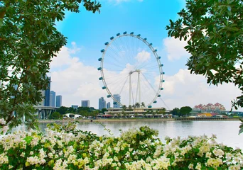 Zelfklevend Fotobehang Beautiful Singapore Flyer © joyt