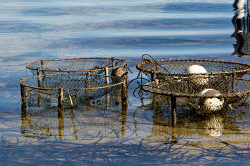 Crab Pots in lake