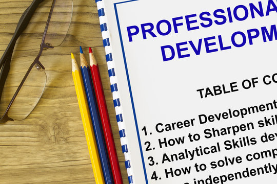 Professional development seminar-