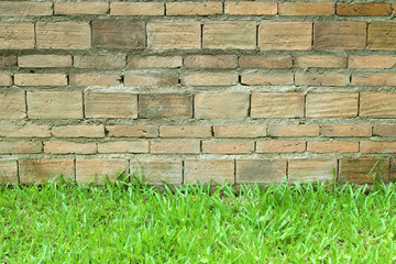 green grass with old brick wall background