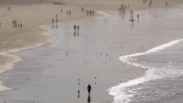Walking on Beach_B - Contiguous Clips A to C