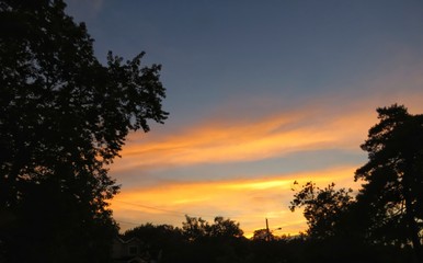 Bright Yellow Sunset In The Blue Sky Over The Trees