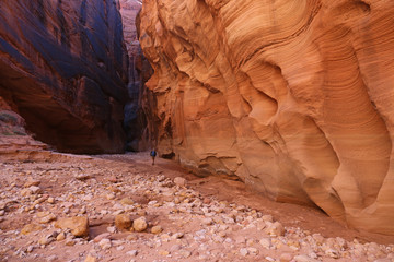 A hiker dwarfed by Buckskin Gulch, located in southern Utah, it is one of the longest slot canyons in the world..