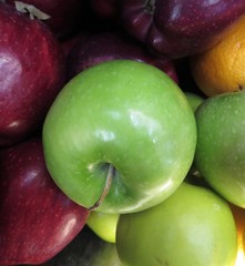 Colorful Variety Of Apples