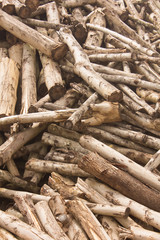 Firewood in countryside background