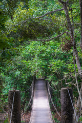 Old suspension bridge to nature in the jungle