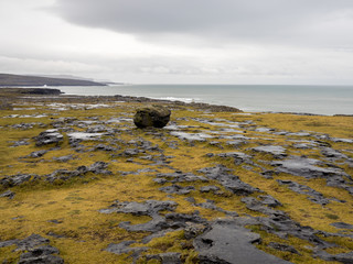 Lone Rock by the Ocean