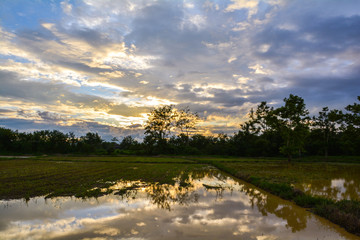 sunset in farm north Thailand,beauty nature,gold clouds