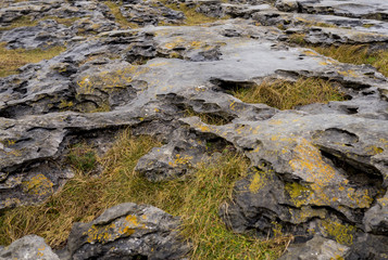 Fototapeta na wymiar Wet grass and moss covered rocks