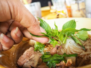 Vietnamese pho noodles