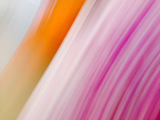 PInk and orange abstract