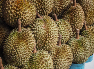 Naklejka na ściany i meble Durian fruit sale in farm market, Thailand Fruit background 
