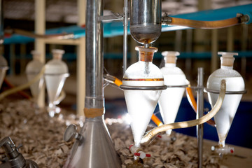 Laboratory