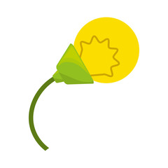 isolated energy bulb