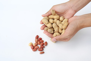 Hands holding peanuts in the shell and peanut on white against white background.