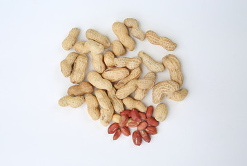 peanut isolated on white background.