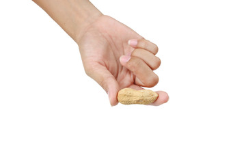Hand holding peanut in the shell isolated on white background.