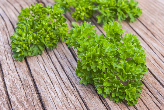 Green curly leaf parsley on stone surface.