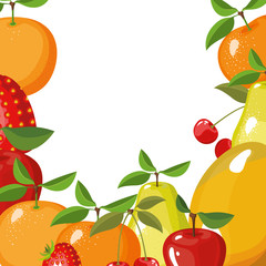 white background with border of different types of delicious fruits vector illustration