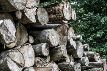Abstract photo pile natural wood background dry chopped firewood logs ready for winter