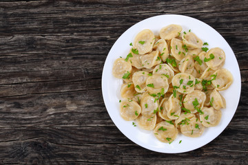 russian pelmeni sprinkled with fresh parsley