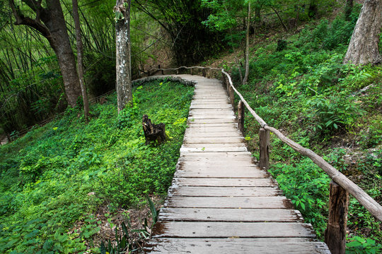 Wooden slope down walkway with handrail in the jungle