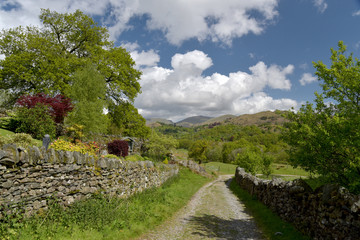 Lane near Elterwater, English Lake District