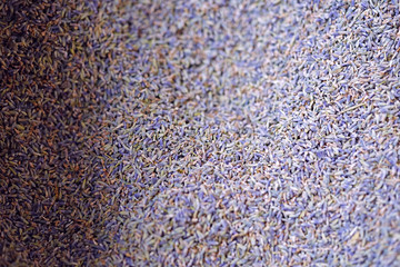 Fragrant dried lavender in bulk