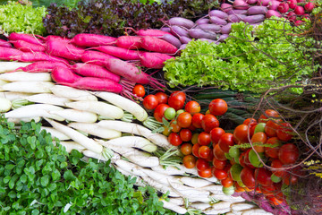 Tomatoes , red radish and vegetable