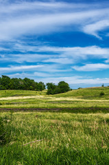 green field and trees with a blue cloudy sky