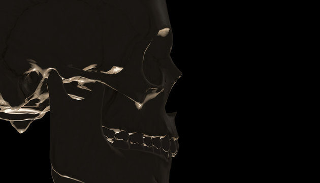 Human skull with dark background. Death, horror, anatomy and halloween symbol. 