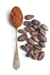 Cocoa powder and beans in spoon.