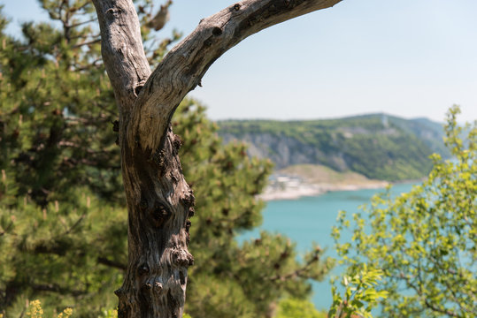 The castle of Duino and the beauty of the cliffs on the rocky coast