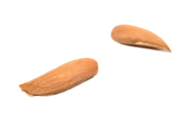 Two uzbek almonds