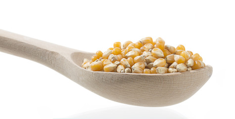 Shovel Full of Dried Corn Isolated  