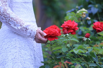 薔薇と女性の手元