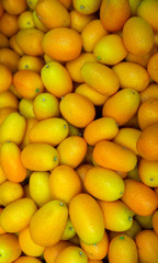 Kumquats (Citrus japonica) are a group of small fruit-bearing trees in the flowering plant family Rutaceae.