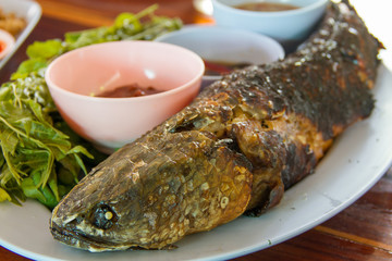 striped snakehead fish.Grill salt