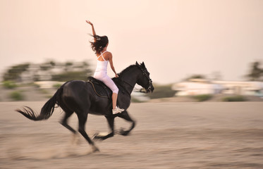 galloping horse