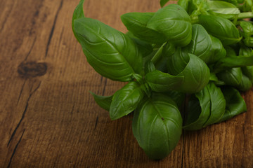 Basil