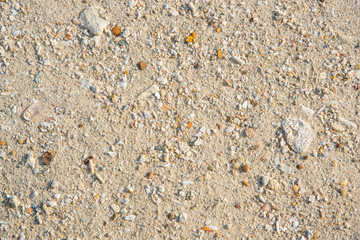 Sand on the the beach as background