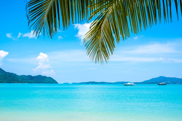 Fototapeta na wymiar Coconut leaf and beautiful sea background in summer.