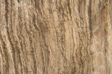 Striped stone texture