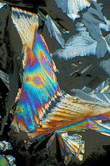 Crystals of sugar in polarized light under the microscope